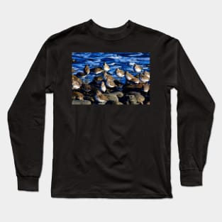 Sandpipers Long Sleeve T-Shirt